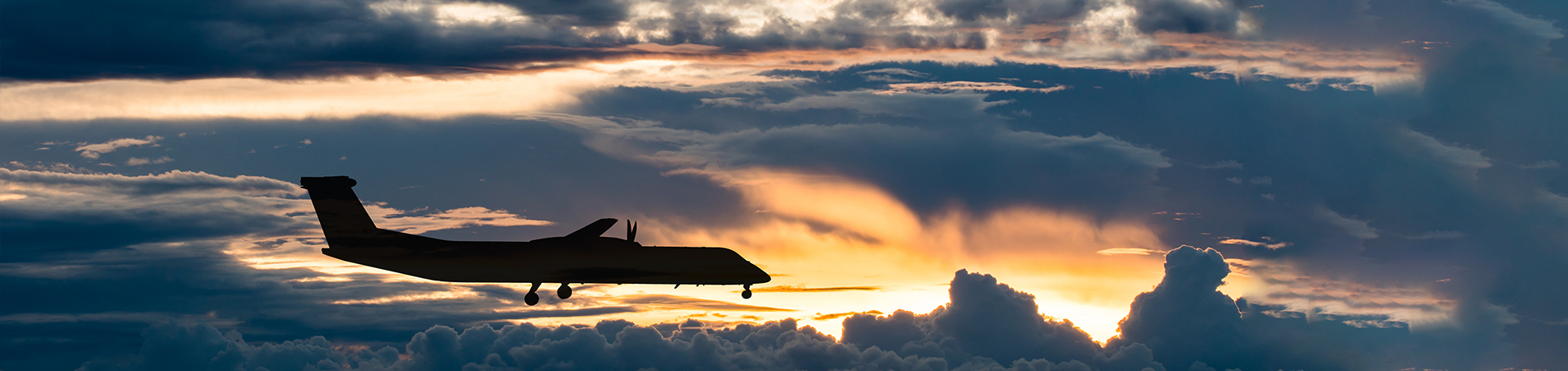 Commercial Flight Training